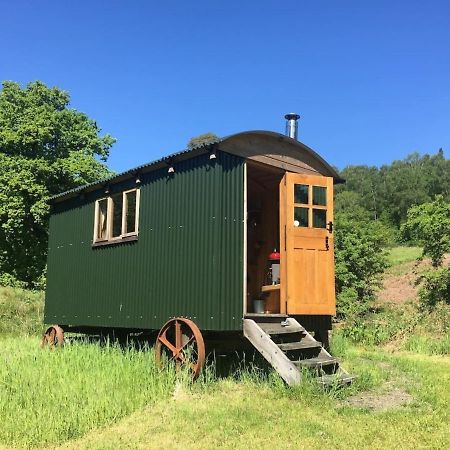 فيلا Cosy Woodland Off Grid Shepherds Hut - Rowan قلعة دوغلاس المظهر الخارجي الصورة