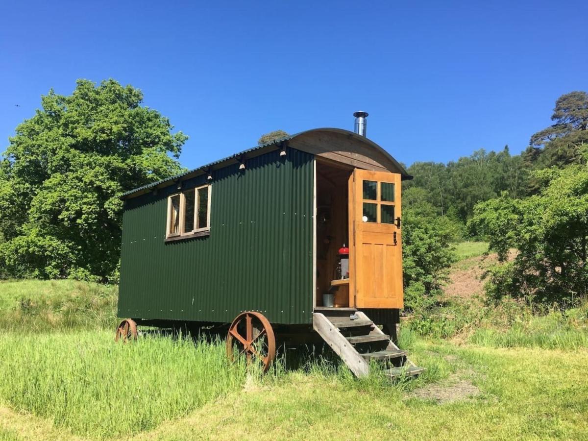 فيلا Cosy Woodland Off Grid Shepherds Hut - Rowan قلعة دوغلاس المظهر الخارجي الصورة