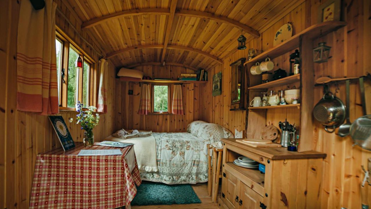 فيلا Cosy Woodland Off Grid Shepherds Hut - Rowan قلعة دوغلاس المظهر الخارجي الصورة