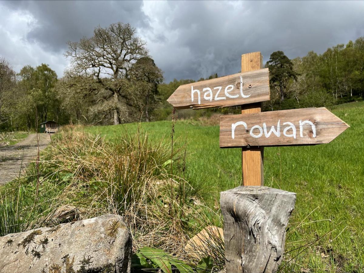 فيلا Cosy Woodland Off Grid Shepherds Hut - Rowan قلعة دوغلاس المظهر الخارجي الصورة